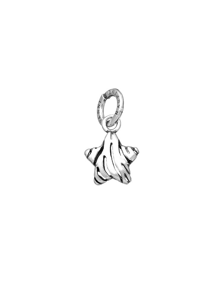 CHARM DONNA STELLA ZEBRA IN ARGENTO 925 GIOVANNI RASPINI