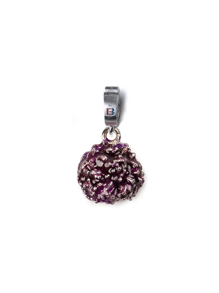 CHARM - D-JAVU - RICCIO - COLOR RODIO ISOLA BELLA