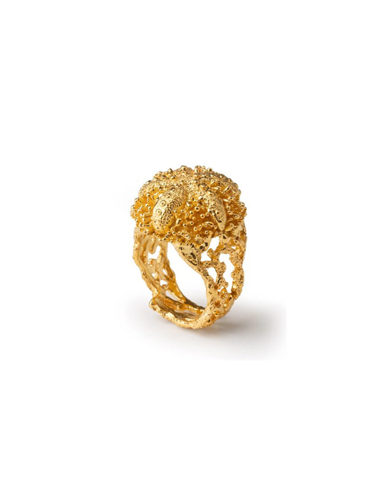 ANELLO DONNA RICCIO ACULEI IN ARGENTO DORATO ISOLA BELLA